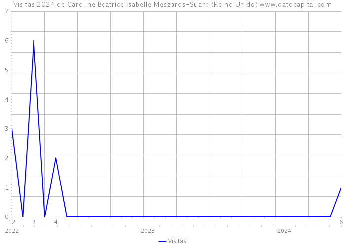 Visitas 2024 de Caroline Beatrice Isabelle Meszaros-Suard (Reino Unido) 