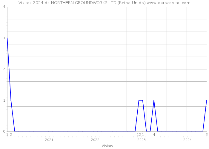 Visitas 2024 de NORTHERN GROUNDWORKS LTD (Reino Unido) 