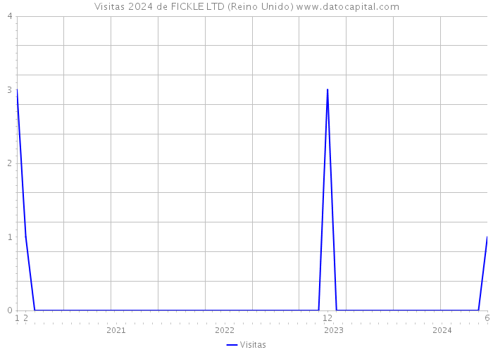 Visitas 2024 de FICKLE LTD (Reino Unido) 