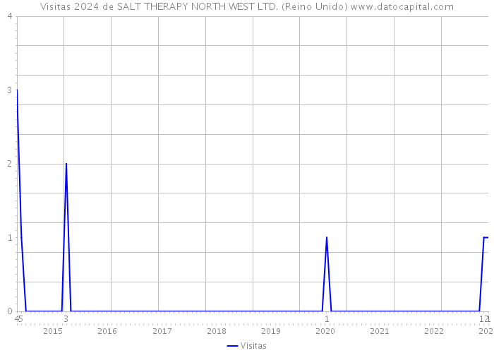 Visitas 2024 de SALT THERAPY NORTH WEST LTD. (Reino Unido) 