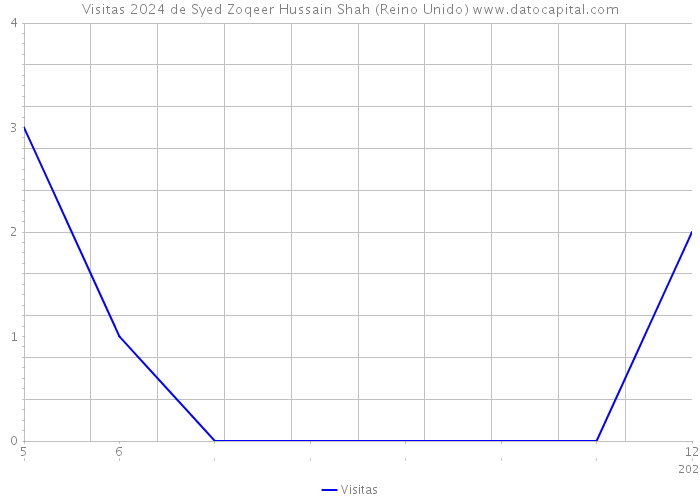 Visitas 2024 de Syed Zoqeer Hussain Shah (Reino Unido) 