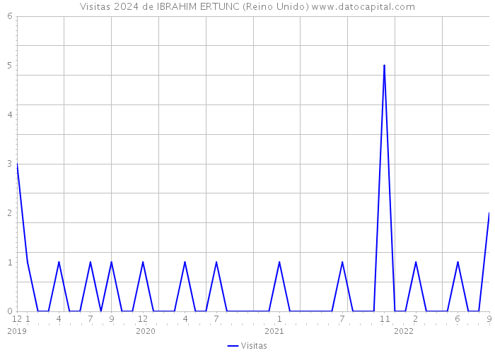 Visitas 2024 de IBRAHIM ERTUNC (Reino Unido) 