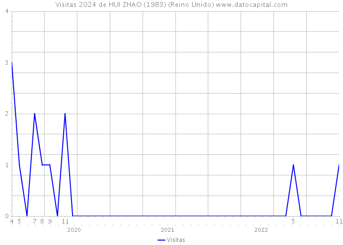 Visitas 2024 de HUI ZHAO (1983) (Reino Unido) 