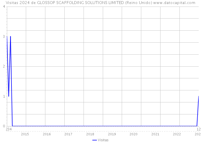 Visitas 2024 de GLOSSOP SCAFFOLDING SOLUTIONS LIMITED (Reino Unido) 