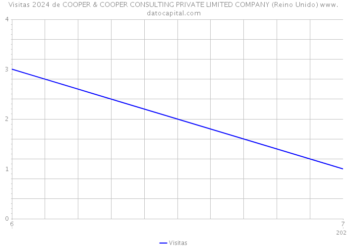 Visitas 2024 de COOPER & COOPER CONSULTING PRIVATE LIMITED COMPANY (Reino Unido) 