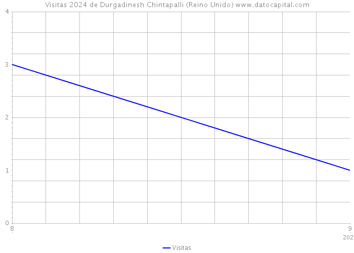 Visitas 2024 de Durgadinesh Chintapalli (Reino Unido) 