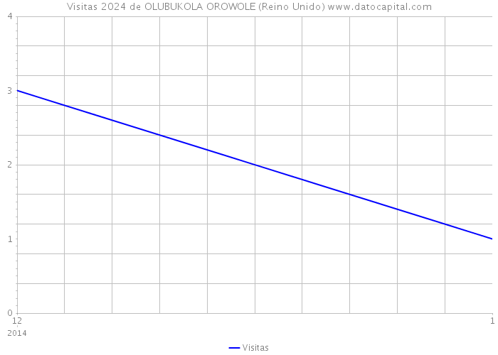 Visitas 2024 de OLUBUKOLA OROWOLE (Reino Unido) 