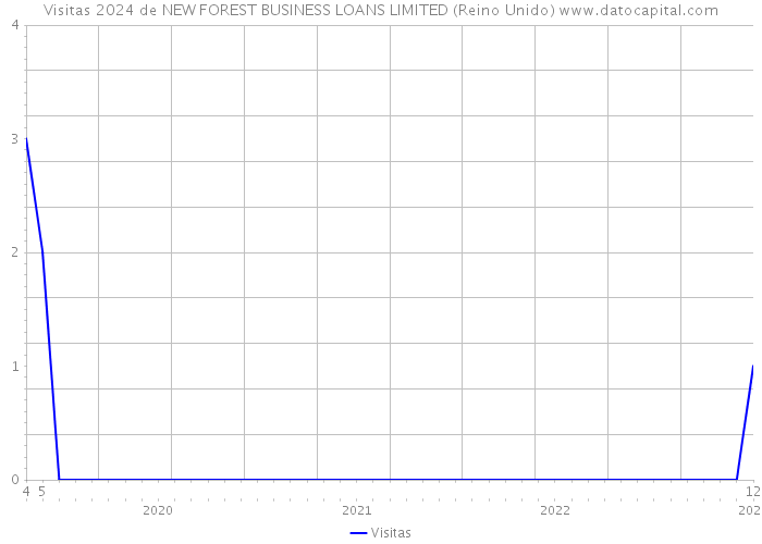 Visitas 2024 de NEW FOREST BUSINESS LOANS LIMITED (Reino Unido) 