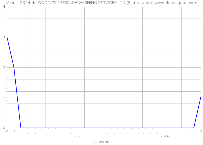 Visitas 2024 de WOODY'S PRESSURE WASHING SERVICES LTD (Reino Unido) 