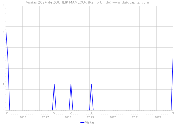 Visitas 2024 de ZOUHEIR MAMLOUK (Reino Unido) 