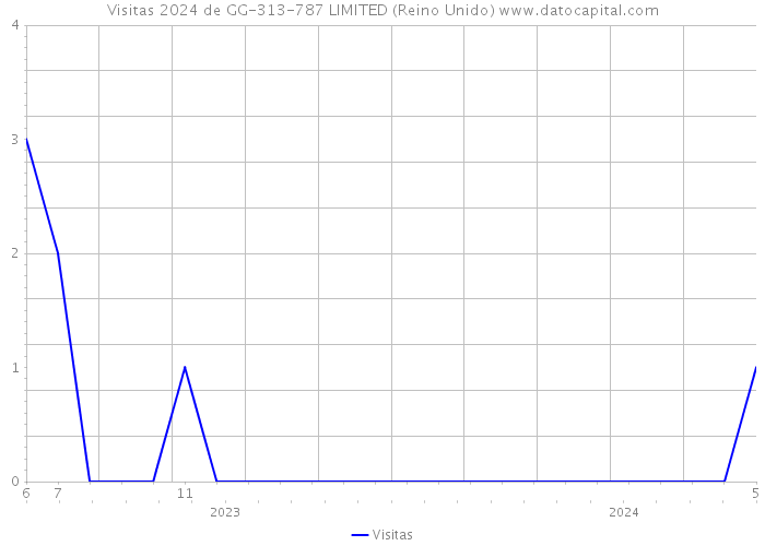 Visitas 2024 de GG-313-787 LIMITED (Reino Unido) 