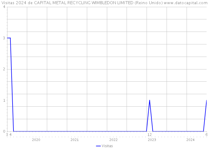 Visitas 2024 de CAPITAL METAL RECYCLING WIMBLEDON LIMITED (Reino Unido) 