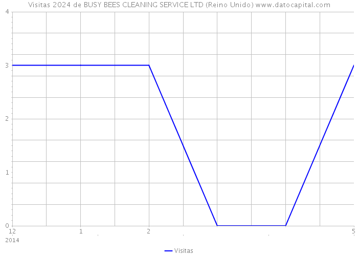 Visitas 2024 de BUSY BEES CLEANING SERVICE LTD (Reino Unido) 