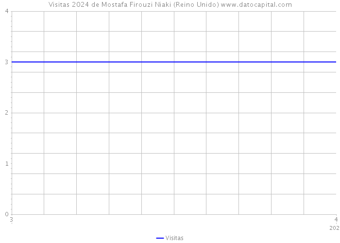 Visitas 2024 de Mostafa Firouzi Niaki (Reino Unido) 