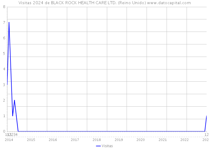 Visitas 2024 de BLACK ROCK HEALTH CARE LTD. (Reino Unido) 