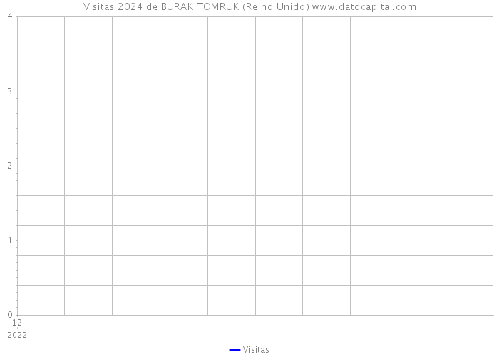 Visitas 2024 de BURAK TOMRUK (Reino Unido) 