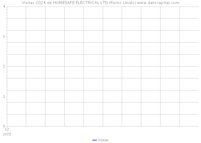 Visitas 2024 de HOMESAFE ELECTRICAL LTD (Reino Unido) 