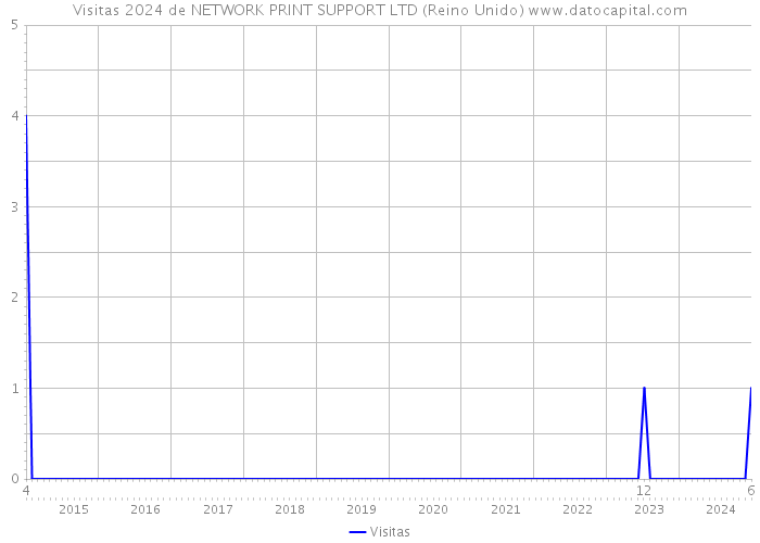 Visitas 2024 de NETWORK PRINT SUPPORT LTD (Reino Unido) 