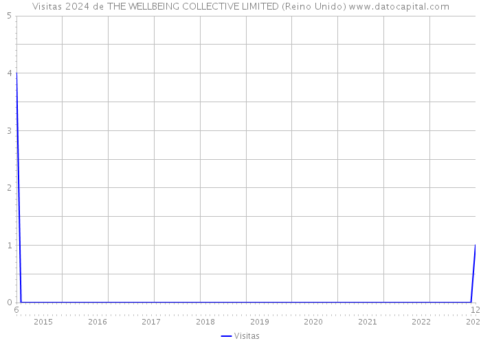 Visitas 2024 de THE WELLBEING COLLECTIVE LIMITED (Reino Unido) 