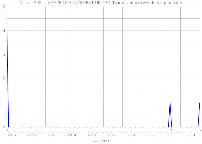 Visitas 2024 de SAYER MANAGEMENT LIMITED (Reino Unido) 