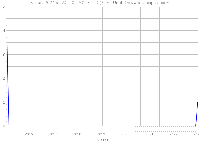 Visitas 2024 de ACTION AGILE LTD (Reino Unido) 