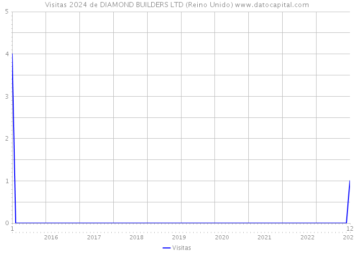 Visitas 2024 de DIAMOND BUILDERS LTD (Reino Unido) 