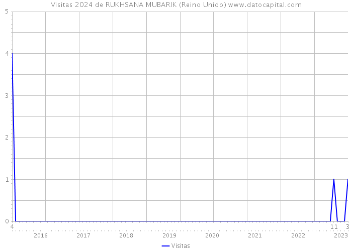 Visitas 2024 de RUKHSANA MUBARIK (Reino Unido) 