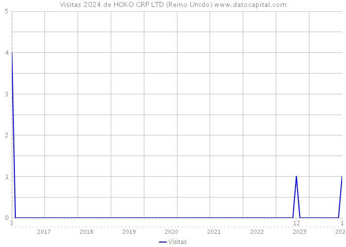 Visitas 2024 de HOKO GRP LTD (Reino Unido) 