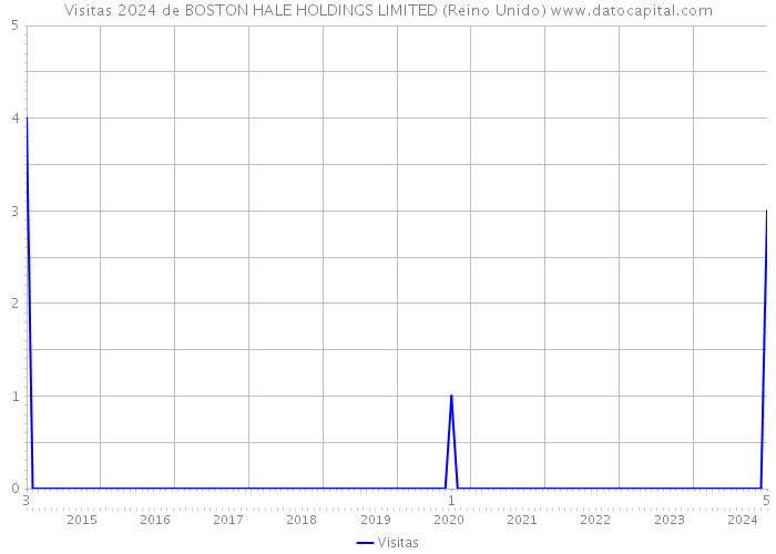 Visitas 2024 de BOSTON HALE HOLDINGS LIMITED (Reino Unido) 