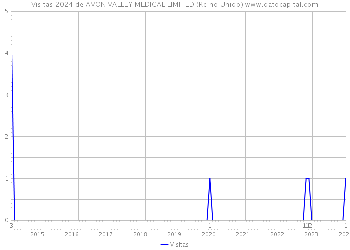 Visitas 2024 de AVON VALLEY MEDICAL LIMITED (Reino Unido) 