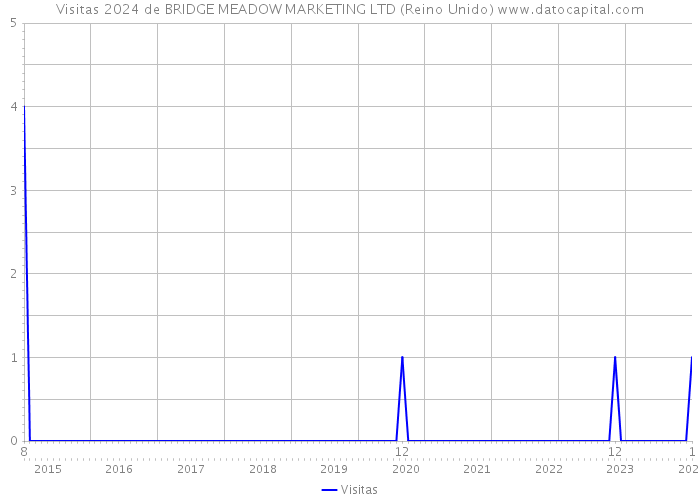 Visitas 2024 de BRIDGE MEADOW MARKETING LTD (Reino Unido) 