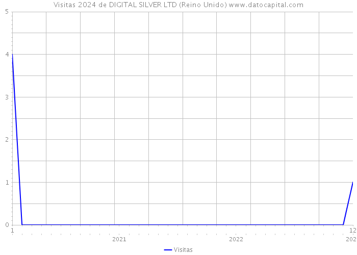 Visitas 2024 de DIGITAL SILVER LTD (Reino Unido) 