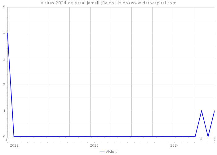 Visitas 2024 de Assal Jamali (Reino Unido) 