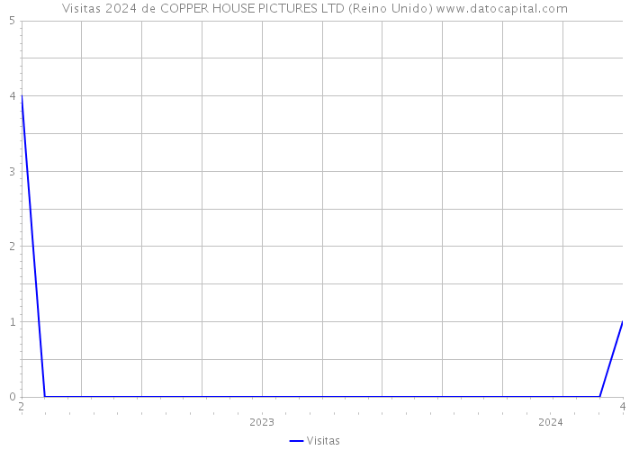 Visitas 2024 de COPPER HOUSE PICTURES LTD (Reino Unido) 