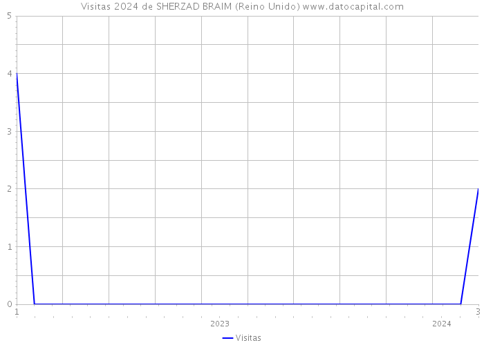 Visitas 2024 de SHERZAD BRAIM (Reino Unido) 