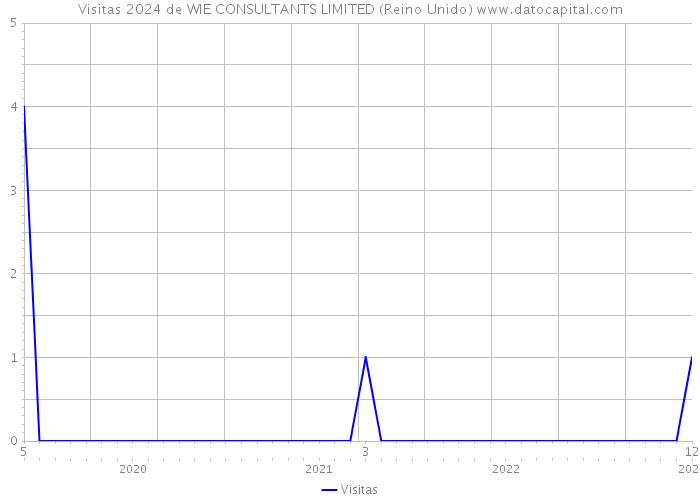 Visitas 2024 de WIE CONSULTANTS LIMITED (Reino Unido) 