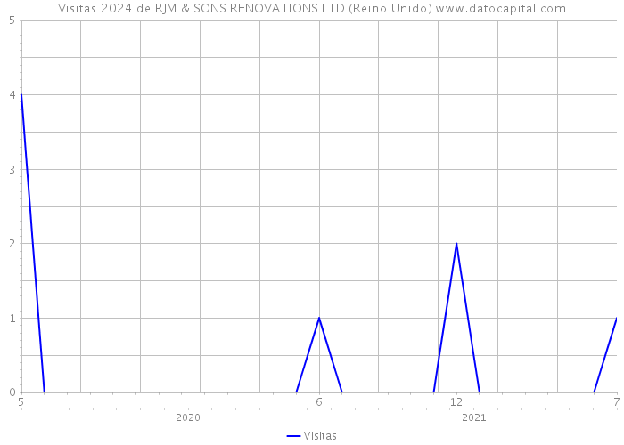 Visitas 2024 de RJM & SONS RENOVATIONS LTD (Reino Unido) 