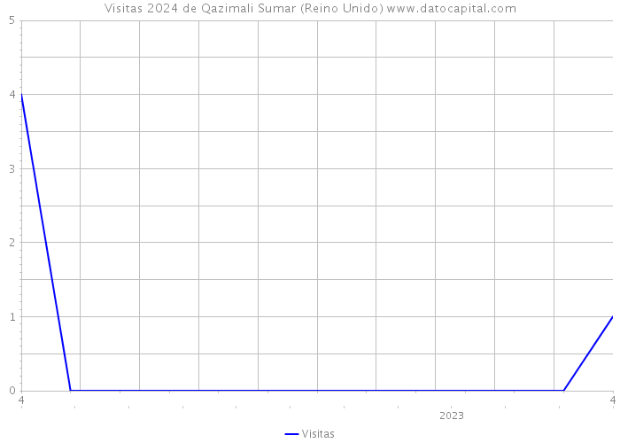 Visitas 2024 de Qazimali Sumar (Reino Unido) 