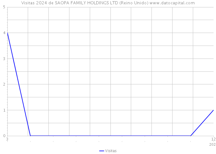 Visitas 2024 de SAOPA FAMILY HOLDINGS LTD (Reino Unido) 