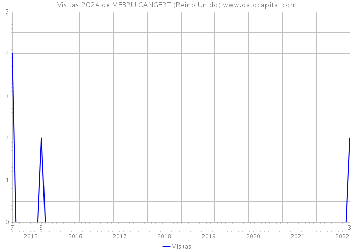 Visitas 2024 de MEBRU CANGERT (Reino Unido) 