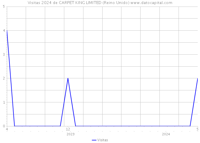 Visitas 2024 de CARPET KING LIMITED (Reino Unido) 