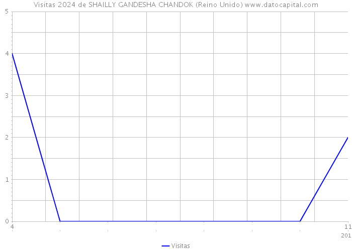 Visitas 2024 de SHAILLY GANDESHA CHANDOK (Reino Unido) 