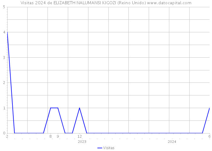 Visitas 2024 de ELIZABETH NALUMANSI KIGOZI (Reino Unido) 