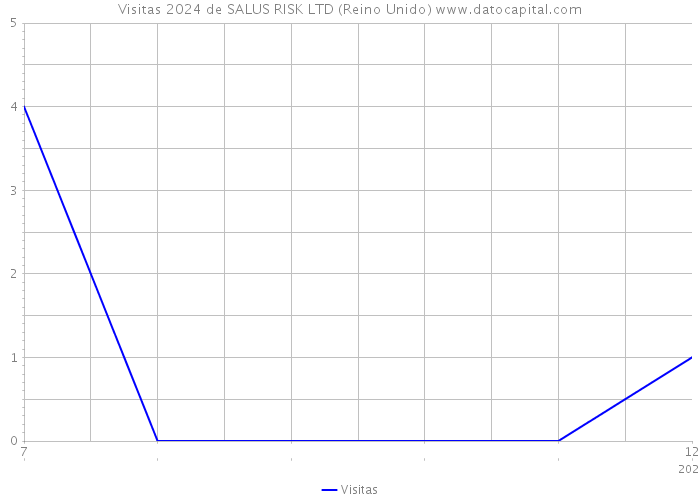 Visitas 2024 de SALUS RISK LTD (Reino Unido) 