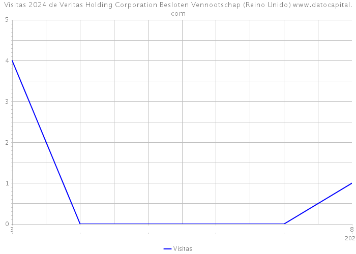 Visitas 2024 de Veritas Holding Corporation Besloten Vennootschap (Reino Unido) 