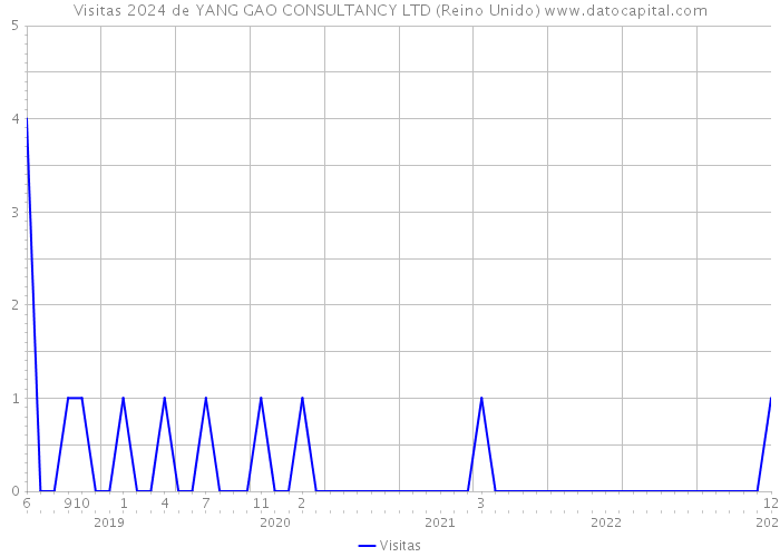 Visitas 2024 de YANG GAO CONSULTANCY LTD (Reino Unido) 