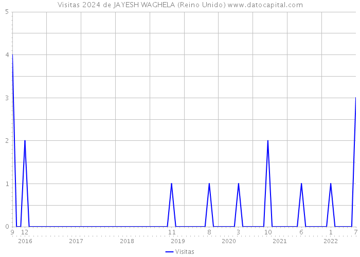 Visitas 2024 de JAYESH WAGHELA (Reino Unido) 