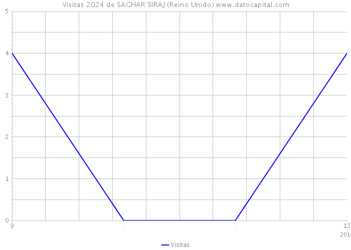 Visitas 2024 de SAGHAR SIRAJ (Reino Unido) 