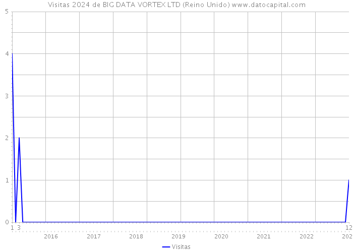 Visitas 2024 de BIG DATA VORTEX LTD (Reino Unido) 