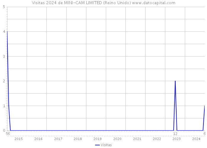 Visitas 2024 de MINI-CAM LIMITED (Reino Unido) 